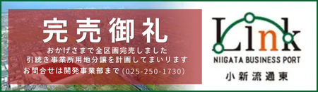 Link 小新流通東
